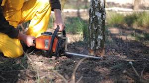 Best Lawn Watering Services  in Eming Island, FL